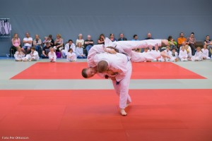 20160508 145 - Per Ottosson